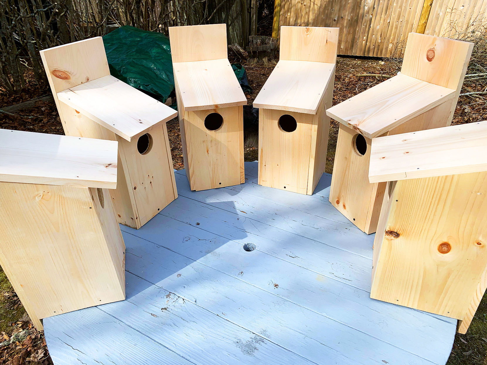 Owl Nesting Box Project Takes Hold With Bird Lovers